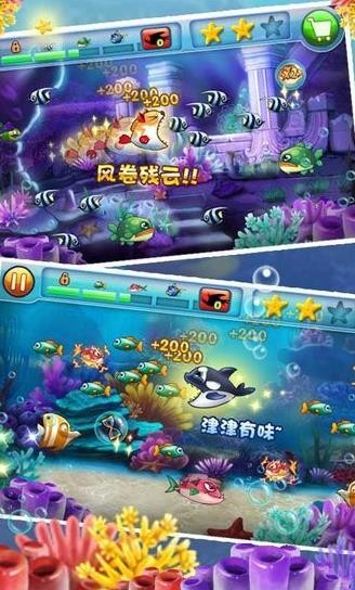 大鱼吃小鱼2中文版下载